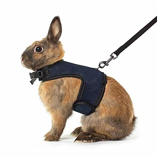 Discount โ Mia's Pet Supply Rabbit Houses & Accessories : Niteangel Adjustable Soft Harness With Elastic Leash For Rabbits (L, Orange) : ๐งจ 14 Mia's Pet Supply Rabbit Houses & Accessories : Niteangel Adjustable Soft Harness With Elastic Leash For Rabbits (L, Orange) :