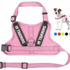 Best deal 🎉 Mia's Pet Supply Leashes And Harness NOYAL In Training 🐶 Dog Harness, Soft Breathable Mesh 🐶 Dog Vest Harness 🛒 19 Mia's Pet Supply Leashes And Harness NOYAL In Training Dog Harness, Soft Breathable Mesh Dog Vest Harness