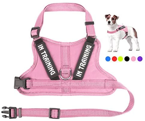 Best deal 🎉 Mia's Pet Supply Leashes And Harness NOYAL In Training 🐶 Dog Harness, Soft Breathable Mesh 🐶 Dog Vest Harness 🛒 8 Mia's Pet Supply Leashes And Harness NOYAL In Training Dog Harness, Soft Breathable Mesh Dog Vest Harness