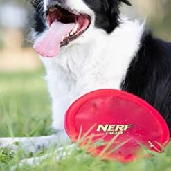 Mia's Pet Supply Pet Supplies : Pet Flying Discs : Nerf Dog Nylon Flying Disk Dog Toy, Large, Red : Dog Toys