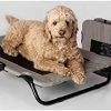 Mia's Pet Supply Pet Gear Lifestyle Pet Cot Elevated Bed | No Assembly Required