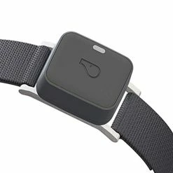 Mia's Pet Supply Leashes And Harness : Whistle GO/GO Explore/Twist & Go Pet Collars/Squirrel Grey/Medium-Large : Pet Supplies