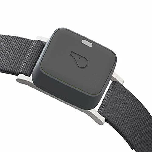 Outlet โจ Mia's Pet Supply Leashes And Harness : Whistle GO/GO Explore/Twist & Go Pet Collars/Squirrel Grey/Medium-Large : Pet Supplies ๐ 2 Mia's Pet Supply Leashes And Harness : Whistle GO/GO Explore/Twist & Go Pet Collars/Squirrel Grey/Medium-Large : Pet Supplies