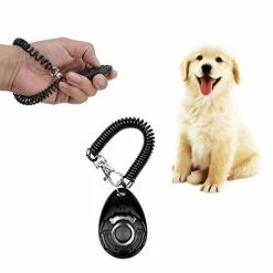 Mia's Pet Supply : Puppy Training Set