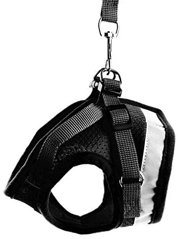 Top 10 ๐ Mia's Pet Supply Leashes And Harness Kamots Beauty Escape Proof ๐ถ Dog Cat Harness And Leash โจ 2 Mia's Pet Supply Leashes And Harness Kamots Beauty Escape Proof Dog Cat Harness And Leash