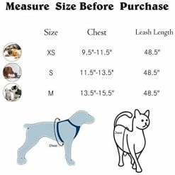 Top 10 ๐ Mia's Pet Supply Leashes And Harness Kamots Beauty Escape Proof ๐ถ Dog Cat Harness And Leash โจ 11 Mia's Pet Supply Leashes And Harness Kamots Beauty Escape Proof Dog Cat Harness And Leash