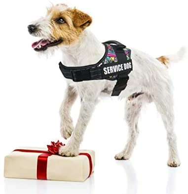 Top 10 โจ Mia's Pet Supply Dihapet ๐ Dog Harness, Service ๐ Dog Vest ๐คฉ 4 Mia's Pet Supply Dihapet Dog Harness, Service Dog Vest