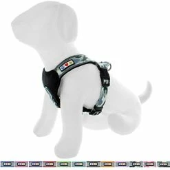 Mia's Pet Supply Pawtitas Padded Harness Puppy Harness Dog Harness Reflective Leashes And Harness