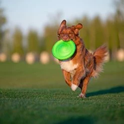 Mia's Pet Supply : COLLAR Floppy Dog Frisbee -