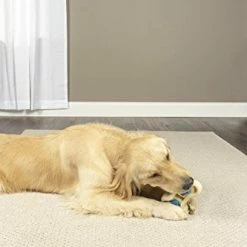 New โ Mia's Pet Supply ๐ถ Dog Toys : PetSafe Forever Bone ๐ถ Dog Chew Toy, Treat Holding Nylon And Rubber Textured ๐ 7 Mia's Pet Supply Dog Toys : PetSafe Forever Bone Dog Chew Toy, Treat Holding Nylon And Rubber Textured