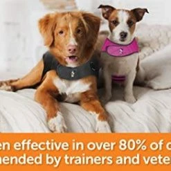 Brand new 🤩 Mia's Pet Supply ThunderShirt Classic 🦮 Dog Anxiety Jacket | Apparel 🤩 21 Mia's Pet Supply ThunderShirt Classic Dog Anxiety Jacket | Apparel