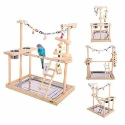 Mia's Pet Supply : QBLEEV Parrot Wood Stand Perch Bird Playstand Playground
