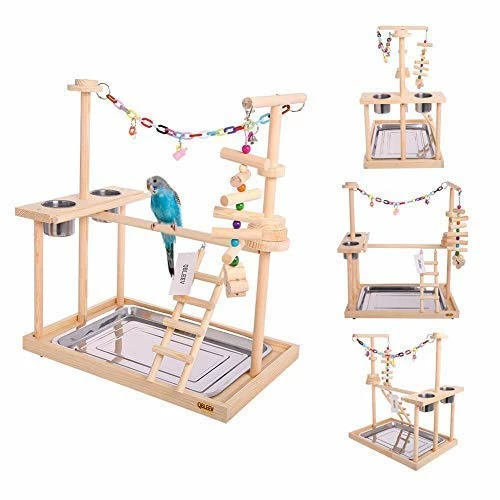 Hot Sale 👍 Mia's Pet Supply : QBLEEV Parrot Wood Stand Perch Bird Playstand Playground 🤩 1 Mia's Pet Supply : QBLEEV Parrot Wood Stand Perch Bird Playstand Playground