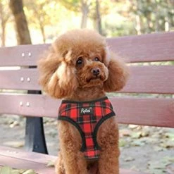 Hot Sale 🛒 Mia's Pet Supply : PUPTECK Soft Mesh 🦮 Dog Harness With Leash - 👏 12 Mia's Pet Supply : PUPTECK Soft Mesh Dog Harness With Leash -