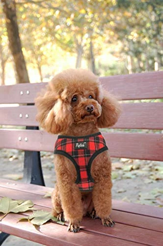 Hot Sale 🛒 Mia's Pet Supply : PUPTECK Soft Mesh 🦮 Dog Harness With Leash - 👏 5 Mia's Pet Supply : PUPTECK Soft Mesh Dog Harness With Leash -