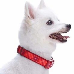 Mia's Pet Supply Blueberry Style Designer Padded Adjustable Dog Collar