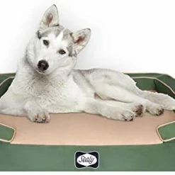 Mia's Pet Supply Bedding Sealy Lux Pet Dog Bed | Quad Layer Technology With Memory Orthopedic Foam
