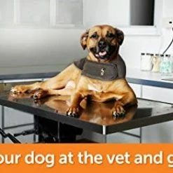 Brand new 🤩 Mia's Pet Supply ThunderShirt Classic 🦮 Dog Anxiety Jacket | Apparel 🤩 24 Mia's Pet Supply ThunderShirt Classic Dog Anxiety Jacket | Apparel