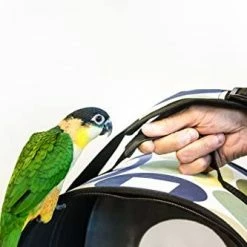 Cheap 🥰 Mia's Pet Supply Prevue Pet Products Soft Sided Bird Travel Carrier With Perch Small, Multicolor 🤩 12 Mia's Pet Supply Prevue Pet Products Soft Sided Bird Travel Carrier With Perch Small, Multicolor