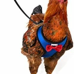 Mia's Pet Supply Yesito Chicken Harness Hen Size With 6ft Matching Leash