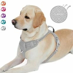 New 💯 Mia's Pet Supply No Pull 🐕 Dog Harness Front Clip Heavy Duty Reflective Easy Control Handle For Large 🐕 Dog Leashes And Harness ✨ 43 Mia's Pet Supply No Pull Dog Harness Front Clip Heavy Duty Reflective Easy Control Handle For Large Dog Leashes And Harness