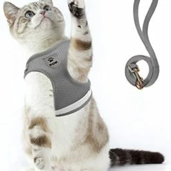 Mia's Pet Supply Cat Harness And Leash Set For Walking Cat And Small Dog Harness