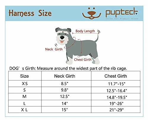 Hot Sale 🛒 Mia's Pet Supply : PUPTECK Soft Mesh 🦮 Dog Harness With Leash - 👏 2 Mia's Pet Supply : PUPTECK Soft Mesh Dog Harness With Leash -