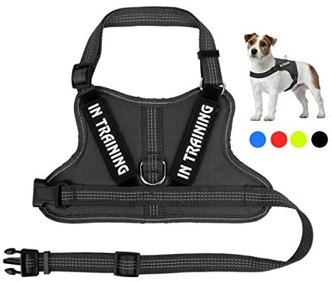 Best deal 🎉 Mia's Pet Supply Leashes And Harness NOYAL In Training 🐶 Dog Harness, Soft Breathable Mesh 🐶 Dog Vest Harness 🛒 11 Mia's Pet Supply Leashes And Harness NOYAL In Training Dog Harness, Soft Breathable Mesh Dog Vest Harness