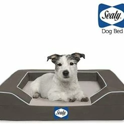 Mia's Pet Supply Bedding Sealy Lux Pet Dog Bed | Quad Layer Technology With Memory Orthopedic Foam