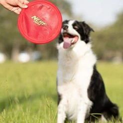 Mia's Pet Supply Pet Supplies : Pet Flying Discs : Nerf Dog Nylon Flying Disk Dog Toy, Large, Red : Dog Toys