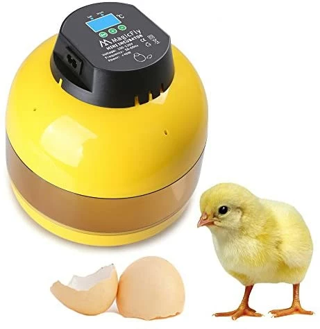 Discount 😍 Mia's Pet Supply Magicfly Digital Mini Semi Automatic Egg Incubator 10 Eggs Poultry Hatcher 👏 7 Mia's Pet Supply Magicfly Digital Mini Semi Automatic Egg Incubator 10 Eggs Poultry Hatcher
