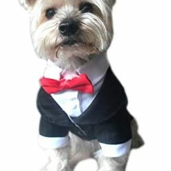 Mia's Pet Supply Oscar Formal Tuxedo With Black Tie And Red Bow Tie Apparel
