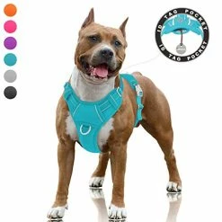Mia's Pet Supply BARKBAY No Pull Dog Harness Large Step In Reflective Dog Harness Leashes And Harness