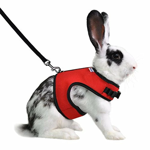 Discount โ Mia's Pet Supply Rabbit Houses & Accessories : Niteangel Adjustable Soft Harness With Elastic Leash For Rabbits (L, Orange) : ๐งจ 2 Mia's Pet Supply Rabbit Houses & Accessories : Niteangel Adjustable Soft Harness With Elastic Leash For Rabbits (L, Orange) :