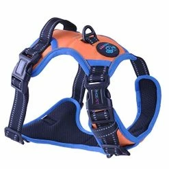 Mia's Pet Supply Leashes And Harness PHOEPET 2019 Upgraded No Pull Dog Harness, 3M Reflective Adjustable Vest