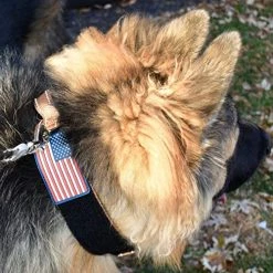 Mia's Pet Supply Dog Collar With Control Handle