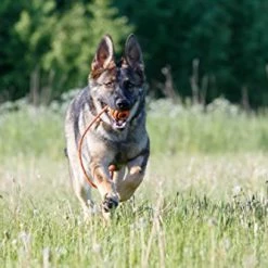 New 🔥 Mia's Pet Supply 🐕 Dog Toys : PlayfulSpirit Durable Natural Rubber Ball On A Rope 🔔 11 Mia's Pet Supply Dog Toys : PlayfulSpirit Durable Natural Rubber Ball On A Rope