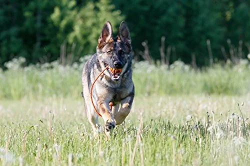 New 🔥 Mia's Pet Supply 🐕 Dog Toys : PlayfulSpirit Durable Natural Rubber Ball On A Rope 🔔 3 Mia's Pet Supply Dog Toys : PlayfulSpirit Durable Natural Rubber Ball On A Rope