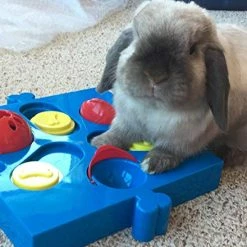 Mia's Pet Supply : SPOT Seek-a-Treat Flip 'N Slide Treat Dispenser For Dogs Dog Toys