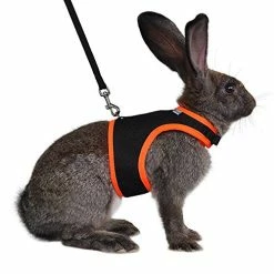 Discount โ Mia's Pet Supply Rabbit Houses & Accessories : Niteangel Adjustable Soft Harness With Elastic Leash For Rabbits (L, Orange) : ๐งจ 32 Mia's Pet Supply Rabbit Houses & Accessories : Niteangel Adjustable Soft Harness With Elastic Leash For Rabbits (L, Orange) :