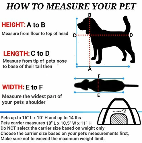 Best deal 🥰 Mia's Pet Supply Mr. Peanut's Airline Approved Soft Sided Pet Carrier 🔥 2 Mia's Pet Supply Mr. Peanut's Airline Approved Soft Sided Pet Carrier