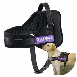 Mia's Pet Supply : Soft Leash Padded No Pull Dog Harness With All Kinds Of Size (XXX Small, Black)