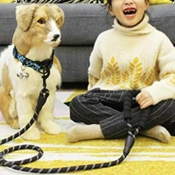 Cheapest 🎁 Mia's Pet Supply Strong 🐕 Dog Leash With Comfortable Padded Handle Leashes And Harness 👍 21 Mia's Pet Supply Strong Dog Leash With Comfortable Padded Handle Leashes And Harness