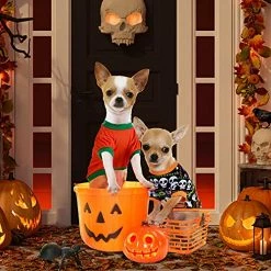 Mia's Pet Supply Apparel 5 Pcs Fall Halloween Dog Shirt Halloween