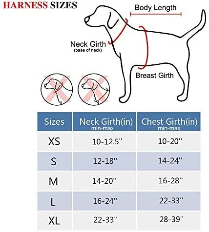 New 😉 Mia's Pet Supply PoyPet No Pull 🦮 Dog Harness, No Choke Front Lead 🦮 Dog Reflective Harness Leashes And Harness 🔔 7 Mia's Pet Supply PoyPet No Pull Dog Harness, No Choke Front Lead Dog Reflective Harness Leashes And Harness