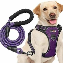 Outlet 😍 Mia's Pet Supply Leashes And Harness DRI No Pull 🐶 Dog Harness Adjustable Reflective Oxford 😉 15 Mia's Pet Supply Leashes And Harness DRI No Pull Dog Harness Adjustable Reflective Oxford