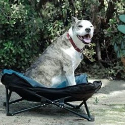 Mia's Pet Supply Bedding Outdoor Pet Camping Raised Cot For Small Or Medium Dogs & Cat