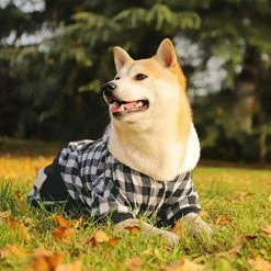 Mia's Pet Supply Apparel PAWZ Road Dog Plaid Coat Pet Winter Clothes