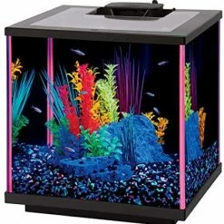 Mia's Pet Supply Fish Products Aqueon Fish NeoGlow LED Aquarium Starter Kits