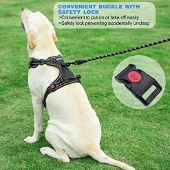 Outlet 😍 Mia's Pet Supply Leashes And Harness DRI No Pull 🐶 Dog Harness Adjustable Reflective Oxford 😉 12 Mia's Pet Supply Leashes And Harness DRI No Pull Dog Harness Adjustable Reflective Oxford